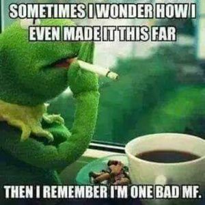 Meet your Posher, Brandy